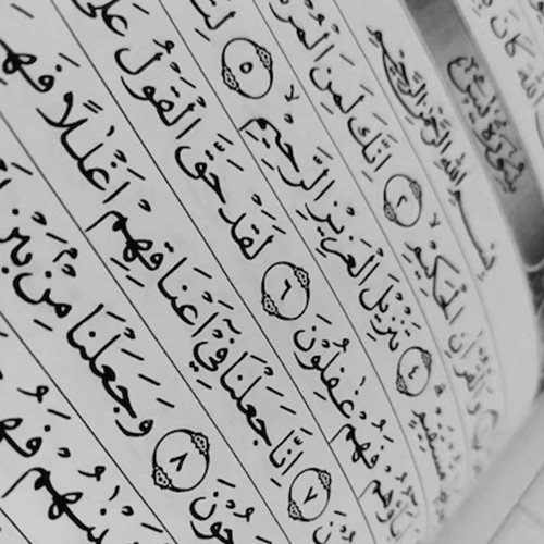 Arabic for Understanding the Qur’an